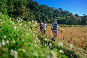 BIB: 
                            <button type="button" onclick="openModal(26571365)" class="btn btn-primary btn-sm float-right btn-popup" data-toggle="modal" data-target=".modal-high-quality">
                        <i class="fas fa-shopping-cart"></i> Add to Cart
                    </button>
                                            <button type="button" onclick="isThisMe(26571365, true)" class="btn btn-success btn-sm float-right btn-popup btn-isme hidden" data-toggle="tooltip" data-placement="bottom" title="นี่คือรูปของคุณใช่ไหม คลิกที่นี่เพื่อเอาเข้าอัลบั้ม">
                        <i class="fas fa-plus"></i> Add to album
                    </button>
                    <button type="button" onclick="isThisMe(26571365, false)" class="btn btn-warning btn-sm float-right btn-popup btn-isnotme hidden">
                        <i class="fas fa-ban"></i> Remove from album
                    </button>