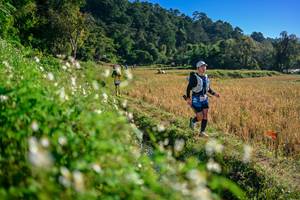 BIB: 
                            <button type="button" onclick="openModal(26571319)" class="btn btn-primary btn-sm float-right btn-popup" data-toggle="modal" data-target=".modal-high-quality">
                        <i class="fas fa-shopping-cart"></i> Add to Cart
                    </button>
                                            <button type="button" onclick="isThisMe(26571319, true)" class="btn btn-success btn-sm float-right btn-popup btn-isme hidden" data-toggle="tooltip" data-placement="bottom" title="นี่คือรูปของคุณใช่ไหม คลิกที่นี่เพื่อเอาเข้าอัลบั้ม">
                        <i class="fas fa-plus"></i> Add to album
                    </button>
                    <button type="button" onclick="isThisMe(26571319, false)" class="btn btn-warning btn-sm float-right btn-popup btn-isnotme hidden">
                        <i class="fas fa-ban"></i> Remove from album
                    </button>