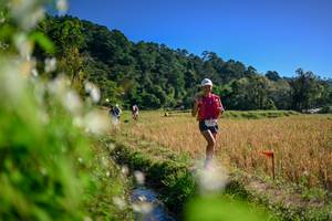 BIB: 
                            <button type="button" onclick="openModal(26574892)" class="btn btn-primary btn-sm float-right btn-popup" data-toggle="modal" data-target=".modal-high-quality">
                        <i class="fas fa-shopping-cart"></i> Add to Cart
                    </button>
                                            <button type="button" onclick="isThisMe(26574892, true)" class="btn btn-success btn-sm float-right btn-popup btn-isme hidden" data-toggle="tooltip" data-placement="bottom" title="นี่คือรูปของคุณใช่ไหม คลิกที่นี่เพื่อเอาเข้าอัลบั้ม">
                        <i class="fas fa-plus"></i> Add to album
                    </button>
                    <button type="button" onclick="isThisMe(26574892, false)" class="btn btn-warning btn-sm float-right btn-popup btn-isnotme hidden">
                        <i class="fas fa-ban"></i> Remove from album
                    </button>