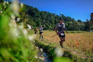 BIB: 
                            <button type="button" onclick="openModal(26575337)" class="btn btn-primary btn-sm float-right btn-popup" data-toggle="modal" data-target=".modal-high-quality">
                        <i class="fas fa-shopping-cart"></i> Add to Cart
                    </button>
                                            <button type="button" onclick="isThisMe(26575337, true)" class="btn btn-success btn-sm float-right btn-popup btn-isme hidden" data-toggle="tooltip" data-placement="bottom" title="นี่คือรูปของคุณใช่ไหม คลิกที่นี่เพื่อเอาเข้าอัลบั้ม">
                        <i class="fas fa-plus"></i> Add to album
                    </button>
                    <button type="button" onclick="isThisMe(26575337, false)" class="btn btn-warning btn-sm float-right btn-popup btn-isnotme hidden">
                        <i class="fas fa-ban"></i> Remove from album
                    </button>