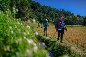 BIB: 
                            <button type="button" onclick="openModal(26581769)" class="btn btn-primary btn-sm float-right btn-popup" data-toggle="modal" data-target=".modal-high-quality">
                        <i class="fas fa-shopping-cart"></i> Add to Cart
                    </button>
                                            <button type="button" onclick="isThisMe(26581769, true)" class="btn btn-success btn-sm float-right btn-popup btn-isme hidden" data-toggle="tooltip" data-placement="bottom" title="นี่คือรูปของคุณใช่ไหม คลิกที่นี่เพื่อเอาเข้าอัลบั้ม">
                        <i class="fas fa-plus"></i> Add to album
                    </button>
                    <button type="button" onclick="isThisMe(26581769, false)" class="btn btn-warning btn-sm float-right btn-popup btn-isnotme hidden">
                        <i class="fas fa-ban"></i> Remove from album
                    </button>