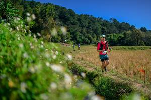 BIB: 
                            <button type="button" onclick="openModal(26582469)" class="btn btn-primary btn-sm float-right btn-popup" data-toggle="modal" data-target=".modal-high-quality">
                        <i class="fas fa-shopping-cart"></i> Add to Cart
                    </button>
                                            <button type="button" onclick="isThisMe(26582469, true)" class="btn btn-success btn-sm float-right btn-popup btn-isme hidden" data-toggle="tooltip" data-placement="bottom" title="นี่คือรูปของคุณใช่ไหม คลิกที่นี่เพื่อเอาเข้าอัลบั้ม">
                        <i class="fas fa-plus"></i> Add to album
                    </button>
                    <button type="button" onclick="isThisMe(26582469, false)" class="btn btn-warning btn-sm float-right btn-popup btn-isnotme hidden">
                        <i class="fas fa-ban"></i> Remove from album
                    </button>