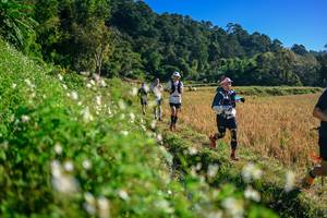 BIB: 
                            <button type="button" onclick="openModal(26571292)" class="btn btn-primary btn-sm float-right btn-popup" data-toggle="modal" data-target=".modal-high-quality">
                        <i class="fas fa-shopping-cart"></i> Add to Cart
                    </button>
                                            <button type="button" onclick="isThisMe(26571292, true)" class="btn btn-success btn-sm float-right btn-popup btn-isme hidden" data-toggle="tooltip" data-placement="bottom" title="นี่คือรูปของคุณใช่ไหม คลิกที่นี่เพื่อเอาเข้าอัลบั้ม">
                        <i class="fas fa-plus"></i> Add to album
                    </button>
                    <button type="button" onclick="isThisMe(26571292, false)" class="btn btn-warning btn-sm float-right btn-popup btn-isnotme hidden">
                        <i class="fas fa-ban"></i> Remove from album
                    </button>