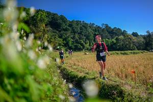 BIB: 
                            <button type="button" onclick="openModal(26572569)" class="btn btn-primary btn-sm float-right btn-popup" data-toggle="modal" data-target=".modal-high-quality">
                        <i class="fas fa-shopping-cart"></i> Add to Cart
                    </button>
                                            <button type="button" onclick="isThisMe(26572569, true)" class="btn btn-success btn-sm float-right btn-popup btn-isme hidden" data-toggle="tooltip" data-placement="bottom" title="นี่คือรูปของคุณใช่ไหม คลิกที่นี่เพื่อเอาเข้าอัลบั้ม">
                        <i class="fas fa-plus"></i> Add to album
                    </button>
                    <button type="button" onclick="isThisMe(26572569, false)" class="btn btn-warning btn-sm float-right btn-popup btn-isnotme hidden">
                        <i class="fas fa-ban"></i> Remove from album
                    </button>