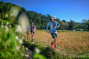 BIB: 
                            <button type="button" onclick="openModal(26575825)" class="btn btn-primary btn-sm float-right btn-popup" data-toggle="modal" data-target=".modal-high-quality">
                        <i class="fas fa-shopping-cart"></i> Add to Cart
                    </button>
                                            <button type="button" onclick="isThisMe(26575825, true)" class="btn btn-success btn-sm float-right btn-popup btn-isme hidden" data-toggle="tooltip" data-placement="bottom" title="นี่คือรูปของคุณใช่ไหม คลิกที่นี่เพื่อเอาเข้าอัลบั้ม">
                        <i class="fas fa-plus"></i> Add to album
                    </button>
                    <button type="button" onclick="isThisMe(26575825, false)" class="btn btn-warning btn-sm float-right btn-popup btn-isnotme hidden">
                        <i class="fas fa-ban"></i> Remove from album
                    </button>