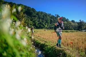 BIB: 
                            <button type="button" onclick="openModal(26571686)" class="btn btn-primary btn-sm float-right btn-popup" data-toggle="modal" data-target=".modal-high-quality">
                        <i class="fas fa-shopping-cart"></i> Add to Cart
                    </button>
                                            <button type="button" onclick="isThisMe(26571686, true)" class="btn btn-success btn-sm float-right btn-popup btn-isme hidden" data-toggle="tooltip" data-placement="bottom" title="นี่คือรูปของคุณใช่ไหม คลิกที่นี่เพื่อเอาเข้าอัลบั้ม">
                        <i class="fas fa-plus"></i> Add to album
                    </button>
                    <button type="button" onclick="isThisMe(26571686, false)" class="btn btn-warning btn-sm float-right btn-popup btn-isnotme hidden">
                        <i class="fas fa-ban"></i> Remove from album
                    </button>