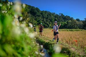 BIB: 
                            <button type="button" onclick="openModal(26575348)" class="btn btn-primary btn-sm float-right btn-popup" data-toggle="modal" data-target=".modal-high-quality">
                        <i class="fas fa-shopping-cart"></i> Add to Cart
                    </button>
                                            <button type="button" onclick="isThisMe(26575348, true)" class="btn btn-success btn-sm float-right btn-popup btn-isme hidden" data-toggle="tooltip" data-placement="bottom" title="นี่คือรูปของคุณใช่ไหม คลิกที่นี่เพื่อเอาเข้าอัลบั้ม">
                        <i class="fas fa-plus"></i> Add to album
                    </button>
                    <button type="button" onclick="isThisMe(26575348, false)" class="btn btn-warning btn-sm float-right btn-popup btn-isnotme hidden">
                        <i class="fas fa-ban"></i> Remove from album
                    </button>