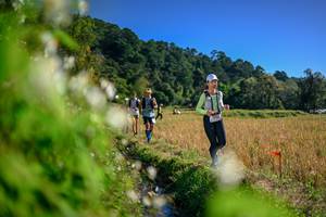 BIB: 
                            <button type="button" onclick="openModal(26574290)" class="btn btn-primary btn-sm float-right btn-popup" data-toggle="modal" data-target=".modal-high-quality">
                        <i class="fas fa-shopping-cart"></i> Add to Cart
                    </button>
                                            <button type="button" onclick="isThisMe(26574290, true)" class="btn btn-success btn-sm float-right btn-popup btn-isme hidden" data-toggle="tooltip" data-placement="bottom" title="นี่คือรูปของคุณใช่ไหม คลิกที่นี่เพื่อเอาเข้าอัลบั้ม">
                        <i class="fas fa-plus"></i> Add to album
                    </button>
                    <button type="button" onclick="isThisMe(26574290, false)" class="btn btn-warning btn-sm float-right btn-popup btn-isnotme hidden">
                        <i class="fas fa-ban"></i> Remove from album
                    </button>