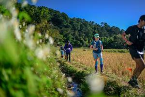 BIB: 
                            <button type="button" onclick="openModal(26573340)" class="btn btn-primary btn-sm float-right btn-popup" data-toggle="modal" data-target=".modal-high-quality">
                        <i class="fas fa-shopping-cart"></i> Add to Cart
                    </button>
                                            <button type="button" onclick="isThisMe(26573340, true)" class="btn btn-success btn-sm float-right btn-popup btn-isme hidden" data-toggle="tooltip" data-placement="bottom" title="นี่คือรูปของคุณใช่ไหม คลิกที่นี่เพื่อเอาเข้าอัลบั้ม">
                        <i class="fas fa-plus"></i> Add to album
                    </button>
                    <button type="button" onclick="isThisMe(26573340, false)" class="btn btn-warning btn-sm float-right btn-popup btn-isnotme hidden">
                        <i class="fas fa-ban"></i> Remove from album
                    </button>