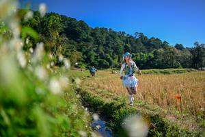 BIB: 
                            <button type="button" onclick="openModal(26573428)" class="btn btn-primary btn-sm float-right btn-popup" data-toggle="modal" data-target=".modal-high-quality">
                        <i class="fas fa-shopping-cart"></i> Add to Cart
                    </button>
                                            <button type="button" onclick="isThisMe(26573428, true)" class="btn btn-success btn-sm float-right btn-popup btn-isme hidden" data-toggle="tooltip" data-placement="bottom" title="นี่คือรูปของคุณใช่ไหม คลิกที่นี่เพื่อเอาเข้าอัลบั้ม">
                        <i class="fas fa-plus"></i> Add to album
                    </button>
                    <button type="button" onclick="isThisMe(26573428, false)" class="btn btn-warning btn-sm float-right btn-popup btn-isnotme hidden">
                        <i class="fas fa-ban"></i> Remove from album
                    </button>