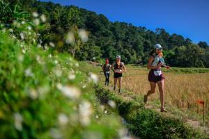 BIB: 
                            <button type="button" onclick="openModal(26583104)" class="btn btn-primary btn-sm float-right btn-popup" data-toggle="modal" data-target=".modal-high-quality">
                        <i class="fas fa-shopping-cart"></i> Add to Cart
                    </button>
                                            <button type="button" onclick="isThisMe(26583104, true)" class="btn btn-success btn-sm float-right btn-popup btn-isme hidden" data-toggle="tooltip" data-placement="bottom" title="นี่คือรูปของคุณใช่ไหม คลิกที่นี่เพื่อเอาเข้าอัลบั้ม">
                        <i class="fas fa-plus"></i> Add to album
                    </button>
                    <button type="button" onclick="isThisMe(26583104, false)" class="btn btn-warning btn-sm float-right btn-popup btn-isnotme hidden">
                        <i class="fas fa-ban"></i> Remove from album
                    </button>