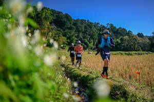 BIB: 
                            <button type="button" onclick="openModal(26572840)" class="btn btn-primary btn-sm float-right btn-popup" data-toggle="modal" data-target=".modal-high-quality">
                        <i class="fas fa-shopping-cart"></i> Add to Cart
                    </button>
                                            <button type="button" onclick="isThisMe(26572840, true)" class="btn btn-success btn-sm float-right btn-popup btn-isme hidden" data-toggle="tooltip" data-placement="bottom" title="นี่คือรูปของคุณใช่ไหม คลิกที่นี่เพื่อเอาเข้าอัลบั้ม">
                        <i class="fas fa-plus"></i> Add to album
                    </button>
                    <button type="button" onclick="isThisMe(26572840, false)" class="btn btn-warning btn-sm float-right btn-popup btn-isnotme hidden">
                        <i class="fas fa-ban"></i> Remove from album
                    </button>