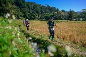 BIB: 
                            <button type="button" onclick="openModal(26576515)" class="btn btn-primary btn-sm float-right btn-popup" data-toggle="modal" data-target=".modal-high-quality">
                        <i class="fas fa-shopping-cart"></i> Add to Cart
                    </button>
                                            <button type="button" onclick="isThisMe(26576515, true)" class="btn btn-success btn-sm float-right btn-popup btn-isme hidden" data-toggle="tooltip" data-placement="bottom" title="นี่คือรูปของคุณใช่ไหม คลิกที่นี่เพื่อเอาเข้าอัลบั้ม">
                        <i class="fas fa-plus"></i> Add to album
                    </button>
                    <button type="button" onclick="isThisMe(26576515, false)" class="btn btn-warning btn-sm float-right btn-popup btn-isnotme hidden">
                        <i class="fas fa-ban"></i> Remove from album
                    </button>