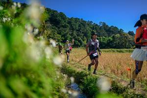 BIB: 
                            <button type="button" onclick="openModal(26575329)" class="btn btn-primary btn-sm float-right btn-popup" data-toggle="modal" data-target=".modal-high-quality">
                        <i class="fas fa-shopping-cart"></i> Add to Cart
                    </button>
                                            <button type="button" onclick="isThisMe(26575329, true)" class="btn btn-success btn-sm float-right btn-popup btn-isme hidden" data-toggle="tooltip" data-placement="bottom" title="นี่คือรูปของคุณใช่ไหม คลิกที่นี่เพื่อเอาเข้าอัลบั้ม">
                        <i class="fas fa-plus"></i> Add to album
                    </button>
                    <button type="button" onclick="isThisMe(26575329, false)" class="btn btn-warning btn-sm float-right btn-popup btn-isnotme hidden">
                        <i class="fas fa-ban"></i> Remove from album
                    </button>