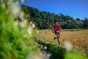 BIB: 
                            <button type="button" onclick="openModal(26572332)" class="btn btn-primary btn-sm float-right btn-popup" data-toggle="modal" data-target=".modal-high-quality">
                        <i class="fas fa-shopping-cart"></i> Add to Cart
                    </button>
                                            <button type="button" onclick="isThisMe(26572332, true)" class="btn btn-success btn-sm float-right btn-popup btn-isme hidden" data-toggle="tooltip" data-placement="bottom" title="นี่คือรูปของคุณใช่ไหม คลิกที่นี่เพื่อเอาเข้าอัลบั้ม">
                        <i class="fas fa-plus"></i> Add to album
                    </button>
                    <button type="button" onclick="isThisMe(26572332, false)" class="btn btn-warning btn-sm float-right btn-popup btn-isnotme hidden">
                        <i class="fas fa-ban"></i> Remove from album
                    </button>