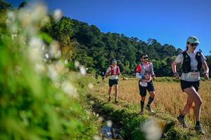 BIB: 
                            <button type="button" onclick="openModal(26572276)" class="btn btn-primary btn-sm float-right btn-popup" data-toggle="modal" data-target=".modal-high-quality">
                        <i class="fas fa-shopping-cart"></i> Add to Cart
                    </button>
                                            <button type="button" onclick="isThisMe(26572276, true)" class="btn btn-success btn-sm float-right btn-popup btn-isme hidden" data-toggle="tooltip" data-placement="bottom" title="นี่คือรูปของคุณใช่ไหม คลิกที่นี่เพื่อเอาเข้าอัลบั้ม">
                        <i class="fas fa-plus"></i> Add to album
                    </button>
                    <button type="button" onclick="isThisMe(26572276, false)" class="btn btn-warning btn-sm float-right btn-popup btn-isnotme hidden">
                        <i class="fas fa-ban"></i> Remove from album
                    </button>