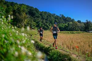 BIB: 
                            <button type="button" onclick="openModal(26575974)" class="btn btn-primary btn-sm float-right btn-popup" data-toggle="modal" data-target=".modal-high-quality">
                        <i class="fas fa-shopping-cart"></i> Add to Cart
                    </button>
                                            <button type="button" onclick="isThisMe(26575974, true)" class="btn btn-success btn-sm float-right btn-popup btn-isme hidden" data-toggle="tooltip" data-placement="bottom" title="นี่คือรูปของคุณใช่ไหม คลิกที่นี่เพื่อเอาเข้าอัลบั้ม">
                        <i class="fas fa-plus"></i> Add to album
                    </button>
                    <button type="button" onclick="isThisMe(26575974, false)" class="btn btn-warning btn-sm float-right btn-popup btn-isnotme hidden">
                        <i class="fas fa-ban"></i> Remove from album
                    </button>