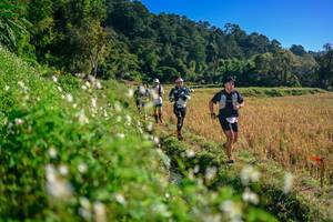 BIB: 
                            <button type="button" onclick="openModal(26571289)" class="btn btn-primary btn-sm float-right btn-popup" data-toggle="modal" data-target=".modal-high-quality">
                        <i class="fas fa-shopping-cart"></i> Add to Cart
                    </button>
                                            <button type="button" onclick="isThisMe(26571289, true)" class="btn btn-success btn-sm float-right btn-popup btn-isme hidden" data-toggle="tooltip" data-placement="bottom" title="นี่คือรูปของคุณใช่ไหม คลิกที่นี่เพื่อเอาเข้าอัลบั้ม">
                        <i class="fas fa-plus"></i> Add to album
                    </button>
                    <button type="button" onclick="isThisMe(26571289, false)" class="btn btn-warning btn-sm float-right btn-popup btn-isnotme hidden">
                        <i class="fas fa-ban"></i> Remove from album
                    </button>