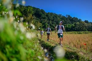 BIB: 
                            <button type="button" onclick="openModal(26573724)" class="btn btn-primary btn-sm float-right btn-popup" data-toggle="modal" data-target=".modal-high-quality">
                        <i class="fas fa-shopping-cart"></i> Add to Cart
                    </button>
                                            <button type="button" onclick="isThisMe(26573724, true)" class="btn btn-success btn-sm float-right btn-popup btn-isme hidden" data-toggle="tooltip" data-placement="bottom" title="นี่คือรูปของคุณใช่ไหม คลิกที่นี่เพื่อเอาเข้าอัลบั้ม">
                        <i class="fas fa-plus"></i> Add to album
                    </button>
                    <button type="button" onclick="isThisMe(26573724, false)" class="btn btn-warning btn-sm float-right btn-popup btn-isnotme hidden">
                        <i class="fas fa-ban"></i> Remove from album
                    </button>