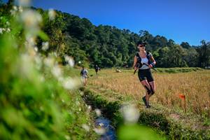 BIB: 
                            <button type="button" onclick="openModal(26574426)" class="btn btn-primary btn-sm float-right btn-popup" data-toggle="modal" data-target=".modal-high-quality">
                        <i class="fas fa-shopping-cart"></i> Add to Cart
                    </button>
                                            <button type="button" onclick="isThisMe(26574426, true)" class="btn btn-success btn-sm float-right btn-popup btn-isme hidden" data-toggle="tooltip" data-placement="bottom" title="นี่คือรูปของคุณใช่ไหม คลิกที่นี่เพื่อเอาเข้าอัลบั้ม">
                        <i class="fas fa-plus"></i> Add to album
                    </button>
                    <button type="button" onclick="isThisMe(26574426, false)" class="btn btn-warning btn-sm float-right btn-popup btn-isnotme hidden">
                        <i class="fas fa-ban"></i> Remove from album
                    </button>