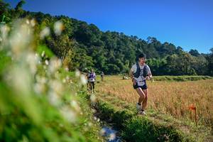 BIB: 
                            <button type="button" onclick="openModal(26571514)" class="btn btn-primary btn-sm float-right btn-popup" data-toggle="modal" data-target=".modal-high-quality">
                        <i class="fas fa-shopping-cart"></i> Add to Cart
                    </button>
                                            <button type="button" onclick="isThisMe(26571514, true)" class="btn btn-success btn-sm float-right btn-popup btn-isme hidden" data-toggle="tooltip" data-placement="bottom" title="นี่คือรูปของคุณใช่ไหม คลิกที่นี่เพื่อเอาเข้าอัลบั้ม">
                        <i class="fas fa-plus"></i> Add to album
                    </button>
                    <button type="button" onclick="isThisMe(26571514, false)" class="btn btn-warning btn-sm float-right btn-popup btn-isnotme hidden">
                        <i class="fas fa-ban"></i> Remove from album
                    </button>