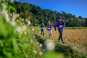 BIB: 
                            <button type="button" onclick="openModal(26573367)" class="btn btn-primary btn-sm float-right btn-popup" data-toggle="modal" data-target=".modal-high-quality">
                        <i class="fas fa-shopping-cart"></i> Add to Cart
                    </button>
                                            <button type="button" onclick="isThisMe(26573367, true)" class="btn btn-success btn-sm float-right btn-popup btn-isme hidden" data-toggle="tooltip" data-placement="bottom" title="นี่คือรูปของคุณใช่ไหม คลิกที่นี่เพื่อเอาเข้าอัลบั้ม">
                        <i class="fas fa-plus"></i> Add to album
                    </button>
                    <button type="button" onclick="isThisMe(26573367, false)" class="btn btn-warning btn-sm float-right btn-popup btn-isnotme hidden">
                        <i class="fas fa-ban"></i> Remove from album
                    </button>