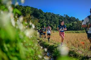 BIB: 
                            <button type="button" onclick="openModal(26573299)" class="btn btn-primary btn-sm float-right btn-popup" data-toggle="modal" data-target=".modal-high-quality">
                        <i class="fas fa-shopping-cart"></i> Add to Cart
                    </button>
                                            <button type="button" onclick="isThisMe(26573299, true)" class="btn btn-success btn-sm float-right btn-popup btn-isme hidden" data-toggle="tooltip" data-placement="bottom" title="นี่คือรูปของคุณใช่ไหม คลิกที่นี่เพื่อเอาเข้าอัลบั้ม">
                        <i class="fas fa-plus"></i> Add to album
                    </button>
                    <button type="button" onclick="isThisMe(26573299, false)" class="btn btn-warning btn-sm float-right btn-popup btn-isnotme hidden">
                        <i class="fas fa-ban"></i> Remove from album
                    </button>