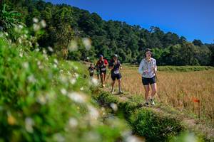 BIB: 
                            <button type="button" onclick="openModal(26582209)" class="btn btn-primary btn-sm float-right btn-popup" data-toggle="modal" data-target=".modal-high-quality">
                        <i class="fas fa-shopping-cart"></i> Add to Cart
                    </button>
                                            <button type="button" onclick="isThisMe(26582209, true)" class="btn btn-success btn-sm float-right btn-popup btn-isme hidden" data-toggle="tooltip" data-placement="bottom" title="นี่คือรูปของคุณใช่ไหม คลิกที่นี่เพื่อเอาเข้าอัลบั้ม">
                        <i class="fas fa-plus"></i> Add to album
                    </button>
                    <button type="button" onclick="isThisMe(26582209, false)" class="btn btn-warning btn-sm float-right btn-popup btn-isnotme hidden">
                        <i class="fas fa-ban"></i> Remove from album
                    </button>