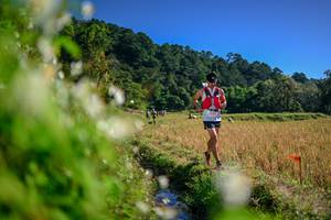 BIB: 
                            <button type="button" onclick="openModal(26573901)" class="btn btn-primary btn-sm float-right btn-popup" data-toggle="modal" data-target=".modal-high-quality">
                        <i class="fas fa-shopping-cart"></i> Add to Cart
                    </button>
                                            <button type="button" onclick="isThisMe(26573901, true)" class="btn btn-success btn-sm float-right btn-popup btn-isme hidden" data-toggle="tooltip" data-placement="bottom" title="นี่คือรูปของคุณใช่ไหม คลิกที่นี่เพื่อเอาเข้าอัลบั้ม">
                        <i class="fas fa-plus"></i> Add to album
                    </button>
                    <button type="button" onclick="isThisMe(26573901, false)" class="btn btn-warning btn-sm float-right btn-popup btn-isnotme hidden">
                        <i class="fas fa-ban"></i> Remove from album
                    </button>