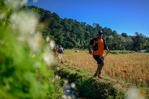 BIB: 
                            <button type="button" onclick="openModal(26572175)" class="btn btn-primary btn-sm float-right btn-popup" data-toggle="modal" data-target=".modal-high-quality">
                        <i class="fas fa-shopping-cart"></i> Add to Cart
                    </button>
                                            <button type="button" onclick="isThisMe(26572175, true)" class="btn btn-success btn-sm float-right btn-popup btn-isme hidden" data-toggle="tooltip" data-placement="bottom" title="นี่คือรูปของคุณใช่ไหม คลิกที่นี่เพื่อเอาเข้าอัลบั้ม">
                        <i class="fas fa-plus"></i> Add to album
                    </button>
                    <button type="button" onclick="isThisMe(26572175, false)" class="btn btn-warning btn-sm float-right btn-popup btn-isnotme hidden">
                        <i class="fas fa-ban"></i> Remove from album
                    </button>