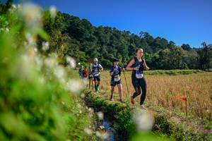 BIB: 
                            <button type="button" onclick="openModal(26574338)" class="btn btn-primary btn-sm float-right btn-popup" data-toggle="modal" data-target=".modal-high-quality">
                        <i class="fas fa-shopping-cart"></i> Add to Cart
                    </button>
                                            <button type="button" onclick="isThisMe(26574338, true)" class="btn btn-success btn-sm float-right btn-popup btn-isme hidden" data-toggle="tooltip" data-placement="bottom" title="นี่คือรูปของคุณใช่ไหม คลิกที่นี่เพื่อเอาเข้าอัลบั้ม">
                        <i class="fas fa-plus"></i> Add to album
                    </button>
                    <button type="button" onclick="isThisMe(26574338, false)" class="btn btn-warning btn-sm float-right btn-popup btn-isnotme hidden">
                        <i class="fas fa-ban"></i> Remove from album
                    </button>