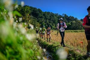 BIB: 
                            <button type="button" onclick="openModal(26573986)" class="btn btn-primary btn-sm float-right btn-popup" data-toggle="modal" data-target=".modal-high-quality">
                        <i class="fas fa-shopping-cart"></i> Add to Cart
                    </button>
                                            <button type="button" onclick="isThisMe(26573986, true)" class="btn btn-success btn-sm float-right btn-popup btn-isme hidden" data-toggle="tooltip" data-placement="bottom" title="นี่คือรูปของคุณใช่ไหม คลิกที่นี่เพื่อเอาเข้าอัลบั้ม">
                        <i class="fas fa-plus"></i> Add to album
                    </button>
                    <button type="button" onclick="isThisMe(26573986, false)" class="btn btn-warning btn-sm float-right btn-popup btn-isnotme hidden">
                        <i class="fas fa-ban"></i> Remove from album
                    </button>