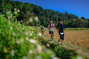 BIB: 
                            <button type="button" onclick="openModal(26582175)" class="btn btn-primary btn-sm float-right btn-popup" data-toggle="modal" data-target=".modal-high-quality">
                        <i class="fas fa-shopping-cart"></i> Add to Cart
                    </button>
                                            <button type="button" onclick="isThisMe(26582175, true)" class="btn btn-success btn-sm float-right btn-popup btn-isme hidden" data-toggle="tooltip" data-placement="bottom" title="นี่คือรูปของคุณใช่ไหม คลิกที่นี่เพื่อเอาเข้าอัลบั้ม">
                        <i class="fas fa-plus"></i> Add to album
                    </button>
                    <button type="button" onclick="isThisMe(26582175, false)" class="btn btn-warning btn-sm float-right btn-popup btn-isnotme hidden">
                        <i class="fas fa-ban"></i> Remove from album
                    </button>