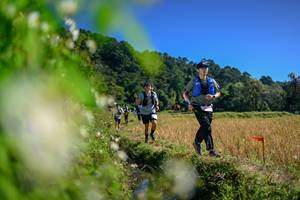 BIB: 
                            <button type="button" onclick="openModal(26580704)" class="btn btn-primary btn-sm float-right btn-popup" data-toggle="modal" data-target=".modal-high-quality">
                        <i class="fas fa-shopping-cart"></i> Add to Cart
                    </button>
                                            <button type="button" onclick="isThisMe(26580704, true)" class="btn btn-success btn-sm float-right btn-popup btn-isme hidden" data-toggle="tooltip" data-placement="bottom" title="นี่คือรูปของคุณใช่ไหม คลิกที่นี่เพื่อเอาเข้าอัลบั้ม">
                        <i class="fas fa-plus"></i> Add to album
                    </button>
                    <button type="button" onclick="isThisMe(26580704, false)" class="btn btn-warning btn-sm float-right btn-popup btn-isnotme hidden">
                        <i class="fas fa-ban"></i> Remove from album
                    </button>