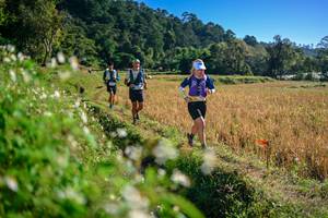 BIB: 
                            <button type="button" onclick="openModal(26571417)" class="btn btn-primary btn-sm float-right btn-popup" data-toggle="modal" data-target=".modal-high-quality">
                        <i class="fas fa-shopping-cart"></i> Add to Cart
                    </button>
                                            <button type="button" onclick="isThisMe(26571417, true)" class="btn btn-success btn-sm float-right btn-popup btn-isme hidden" data-toggle="tooltip" data-placement="bottom" title="นี่คือรูปของคุณใช่ไหม คลิกที่นี่เพื่อเอาเข้าอัลบั้ม">
                        <i class="fas fa-plus"></i> Add to album
                    </button>
                    <button type="button" onclick="isThisMe(26571417, false)" class="btn btn-warning btn-sm float-right btn-popup btn-isnotme hidden">
                        <i class="fas fa-ban"></i> Remove from album
                    </button>