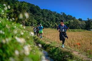 BIB: 
                            <button type="button" onclick="openModal(26582591)" class="btn btn-primary btn-sm float-right btn-popup" data-toggle="modal" data-target=".modal-high-quality">
                        <i class="fas fa-shopping-cart"></i> Add to Cart
                    </button>
                                            <button type="button" onclick="isThisMe(26582591, true)" class="btn btn-success btn-sm float-right btn-popup btn-isme hidden" data-toggle="tooltip" data-placement="bottom" title="นี่คือรูปของคุณใช่ไหม คลิกที่นี่เพื่อเอาเข้าอัลบั้ม">
                        <i class="fas fa-plus"></i> Add to album
                    </button>
                    <button type="button" onclick="isThisMe(26582591, false)" class="btn btn-warning btn-sm float-right btn-popup btn-isnotme hidden">
                        <i class="fas fa-ban"></i> Remove from album
                    </button>