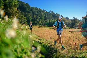 BIB: 
                            <button type="button" onclick="openModal(26570471)" class="btn btn-primary btn-sm float-right btn-popup" data-toggle="modal" data-target=".modal-high-quality">
                        <i class="fas fa-shopping-cart"></i> Add to Cart
                    </button>
                                            <button type="button" onclick="isThisMe(26570471, true)" class="btn btn-success btn-sm float-right btn-popup btn-isme hidden" data-toggle="tooltip" data-placement="bottom" title="นี่คือรูปของคุณใช่ไหม คลิกที่นี่เพื่อเอาเข้าอัลบั้ม">
                        <i class="fas fa-plus"></i> Add to album
                    </button>
                    <button type="button" onclick="isThisMe(26570471, false)" class="btn btn-warning btn-sm float-right btn-popup btn-isnotme hidden">
                        <i class="fas fa-ban"></i> Remove from album
                    </button>