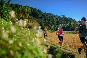 BIB: 
                            <button type="button" onclick="openModal(26571124)" class="btn btn-primary btn-sm float-right btn-popup" data-toggle="modal" data-target=".modal-high-quality">
                        <i class="fas fa-shopping-cart"></i> Add to Cart
                    </button>
                                            <button type="button" onclick="isThisMe(26571124, true)" class="btn btn-success btn-sm float-right btn-popup btn-isme hidden" data-toggle="tooltip" data-placement="bottom" title="นี่คือรูปของคุณใช่ไหม คลิกที่นี่เพื่อเอาเข้าอัลบั้ม">
                        <i class="fas fa-plus"></i> Add to album
                    </button>
                    <button type="button" onclick="isThisMe(26571124, false)" class="btn btn-warning btn-sm float-right btn-popup btn-isnotme hidden">
                        <i class="fas fa-ban"></i> Remove from album
                    </button>