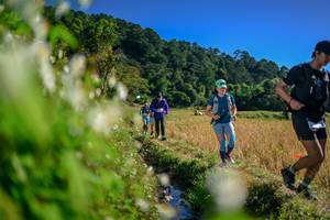 BIB: 
                            <button type="button" onclick="openModal(26573339)" class="btn btn-primary btn-sm float-right btn-popup" data-toggle="modal" data-target=".modal-high-quality">
                        <i class="fas fa-shopping-cart"></i> Add to Cart
                    </button>
                                            <button type="button" onclick="isThisMe(26573339, true)" class="btn btn-success btn-sm float-right btn-popup btn-isme hidden" data-toggle="tooltip" data-placement="bottom" title="นี่คือรูปของคุณใช่ไหม คลิกที่นี่เพื่อเอาเข้าอัลบั้ม">
                        <i class="fas fa-plus"></i> Add to album
                    </button>
                    <button type="button" onclick="isThisMe(26573339, false)" class="btn btn-warning btn-sm float-right btn-popup btn-isnotme hidden">
                        <i class="fas fa-ban"></i> Remove from album
                    </button>