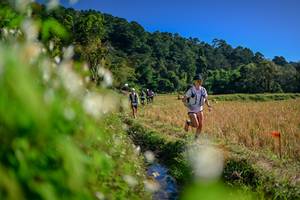 BIB: 
                            <button type="button" onclick="openModal(26573750)" class="btn btn-primary btn-sm float-right btn-popup" data-toggle="modal" data-target=".modal-high-quality">
                        <i class="fas fa-shopping-cart"></i> Add to Cart
                    </button>
                                            <button type="button" onclick="isThisMe(26573750, true)" class="btn btn-success btn-sm float-right btn-popup btn-isme hidden" data-toggle="tooltip" data-placement="bottom" title="นี่คือรูปของคุณใช่ไหม คลิกที่นี่เพื่อเอาเข้าอัลบั้ม">
                        <i class="fas fa-plus"></i> Add to album
                    </button>
                    <button type="button" onclick="isThisMe(26573750, false)" class="btn btn-warning btn-sm float-right btn-popup btn-isnotme hidden">
                        <i class="fas fa-ban"></i> Remove from album
                    </button>