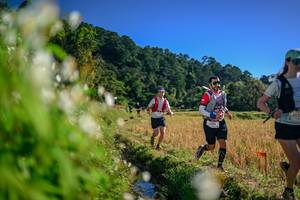 BIB: 
                            <button type="button" onclick="openModal(26572282)" class="btn btn-primary btn-sm float-right btn-popup" data-toggle="modal" data-target=".modal-high-quality">
                        <i class="fas fa-shopping-cart"></i> Add to Cart
                    </button>
                                            <button type="button" onclick="isThisMe(26572282, true)" class="btn btn-success btn-sm float-right btn-popup btn-isme hidden" data-toggle="tooltip" data-placement="bottom" title="นี่คือรูปของคุณใช่ไหม คลิกที่นี่เพื่อเอาเข้าอัลบั้ม">
                        <i class="fas fa-plus"></i> Add to album
                    </button>
                    <button type="button" onclick="isThisMe(26572282, false)" class="btn btn-warning btn-sm float-right btn-popup btn-isnotme hidden">
                        <i class="fas fa-ban"></i> Remove from album
                    </button>