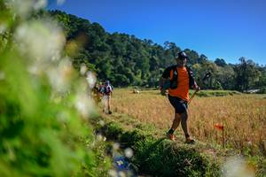 BIB: 
                            <button type="button" onclick="openModal(26572176)" class="btn btn-primary btn-sm float-right btn-popup" data-toggle="modal" data-target=".modal-high-quality">
                        <i class="fas fa-shopping-cart"></i> Add to Cart
                    </button>
                                            <button type="button" onclick="isThisMe(26572176, true)" class="btn btn-success btn-sm float-right btn-popup btn-isme hidden" data-toggle="tooltip" data-placement="bottom" title="นี่คือรูปของคุณใช่ไหม คลิกที่นี่เพื่อเอาเข้าอัลบั้ม">
                        <i class="fas fa-plus"></i> Add to album
                    </button>
                    <button type="button" onclick="isThisMe(26572176, false)" class="btn btn-warning btn-sm float-right btn-popup btn-isnotme hidden">
                        <i class="fas fa-ban"></i> Remove from album
                    </button>