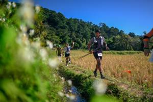 BIB: 
                            <button type="button" onclick="openModal(26575333)" class="btn btn-primary btn-sm float-right btn-popup" data-toggle="modal" data-target=".modal-high-quality">
                        <i class="fas fa-shopping-cart"></i> Add to Cart
                    </button>
                                            <button type="button" onclick="isThisMe(26575333, true)" class="btn btn-success btn-sm float-right btn-popup btn-isme hidden" data-toggle="tooltip" data-placement="bottom" title="นี่คือรูปของคุณใช่ไหม คลิกที่นี่เพื่อเอาเข้าอัลบั้ม">
                        <i class="fas fa-plus"></i> Add to album
                    </button>
                    <button type="button" onclick="isThisMe(26575333, false)" class="btn btn-warning btn-sm float-right btn-popup btn-isnotme hidden">
                        <i class="fas fa-ban"></i> Remove from album
                    </button>