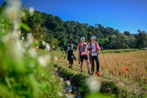 BIB: 
                            <button type="button" onclick="openModal(26573556)" class="btn btn-primary btn-sm float-right btn-popup" data-toggle="modal" data-target=".modal-high-quality">
                        <i class="fas fa-shopping-cart"></i> Add to Cart
                    </button>
                                            <button type="button" onclick="isThisMe(26573556, true)" class="btn btn-success btn-sm float-right btn-popup btn-isme hidden" data-toggle="tooltip" data-placement="bottom" title="นี่คือรูปของคุณใช่ไหม คลิกที่นี่เพื่อเอาเข้าอัลบั้ม">
                        <i class="fas fa-plus"></i> Add to album
                    </button>
                    <button type="button" onclick="isThisMe(26573556, false)" class="btn btn-warning btn-sm float-right btn-popup btn-isnotme hidden">
                        <i class="fas fa-ban"></i> Remove from album
                    </button>