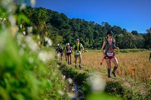 BIB: 
                            <button type="button" onclick="openModal(26574002)" class="btn btn-primary btn-sm float-right btn-popup" data-toggle="modal" data-target=".modal-high-quality">
                        <i class="fas fa-shopping-cart"></i> Add to Cart
                    </button>
                                            <button type="button" onclick="isThisMe(26574002, true)" class="btn btn-success btn-sm float-right btn-popup btn-isme hidden" data-toggle="tooltip" data-placement="bottom" title="นี่คือรูปของคุณใช่ไหม คลิกที่นี่เพื่อเอาเข้าอัลบั้ม">
                        <i class="fas fa-plus"></i> Add to album
                    </button>
                    <button type="button" onclick="isThisMe(26574002, false)" class="btn btn-warning btn-sm float-right btn-popup btn-isnotme hidden">
                        <i class="fas fa-ban"></i> Remove from album
                    </button>