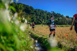 BIB: 
                            <button type="button" onclick="openModal(26572557)" class="btn btn-primary btn-sm float-right btn-popup" data-toggle="modal" data-target=".modal-high-quality">
                        <i class="fas fa-shopping-cart"></i> Add to Cart
                    </button>
                                            <button type="button" onclick="isThisMe(26572557, true)" class="btn btn-success btn-sm float-right btn-popup btn-isme hidden" data-toggle="tooltip" data-placement="bottom" title="นี่คือรูปของคุณใช่ไหม คลิกที่นี่เพื่อเอาเข้าอัลบั้ม">
                        <i class="fas fa-plus"></i> Add to album
                    </button>
                    <button type="button" onclick="isThisMe(26572557, false)" class="btn btn-warning btn-sm float-right btn-popup btn-isnotme hidden">
                        <i class="fas fa-ban"></i> Remove from album
                    </button>