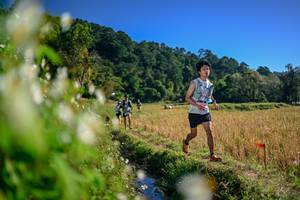 BIB: 
                            <button type="button" onclick="openModal(26572453)" class="btn btn-primary btn-sm float-right btn-popup" data-toggle="modal" data-target=".modal-high-quality">
                        <i class="fas fa-shopping-cart"></i> Add to Cart
                    </button>
                                            <button type="button" onclick="isThisMe(26572453, true)" class="btn btn-success btn-sm float-right btn-popup btn-isme hidden" data-toggle="tooltip" data-placement="bottom" title="นี่คือรูปของคุณใช่ไหม คลิกที่นี่เพื่อเอาเข้าอัลบั้ม">
                        <i class="fas fa-plus"></i> Add to album
                    </button>
                    <button type="button" onclick="isThisMe(26572453, false)" class="btn btn-warning btn-sm float-right btn-popup btn-isnotme hidden">
                        <i class="fas fa-ban"></i> Remove from album
                    </button>