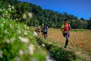 BIB: 
                            <button type="button" onclick="openModal(26583078)" class="btn btn-primary btn-sm float-right btn-popup" data-toggle="modal" data-target=".modal-high-quality">
                        <i class="fas fa-shopping-cart"></i> Add to Cart
                    </button>
                                            <button type="button" onclick="isThisMe(26583078, true)" class="btn btn-success btn-sm float-right btn-popup btn-isme hidden" data-toggle="tooltip" data-placement="bottom" title="นี่คือรูปของคุณใช่ไหม คลิกที่นี่เพื่อเอาเข้าอัลบั้ม">
                        <i class="fas fa-plus"></i> Add to album
                    </button>
                    <button type="button" onclick="isThisMe(26583078, false)" class="btn btn-warning btn-sm float-right btn-popup btn-isnotme hidden">
                        <i class="fas fa-ban"></i> Remove from album
                    </button>