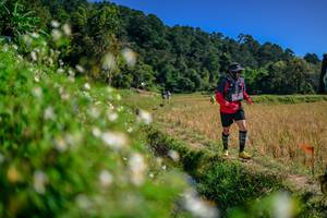 BIB: 
                            <button type="button" onclick="openModal(26582508)" class="btn btn-primary btn-sm float-right btn-popup" data-toggle="modal" data-target=".modal-high-quality">
                        <i class="fas fa-shopping-cart"></i> Add to Cart
                    </button>
                                            <button type="button" onclick="isThisMe(26582508, true)" class="btn btn-success btn-sm float-right btn-popup btn-isme hidden" data-toggle="tooltip" data-placement="bottom" title="นี่คือรูปของคุณใช่ไหม คลิกที่นี่เพื่อเอาเข้าอัลบั้ม">
                        <i class="fas fa-plus"></i> Add to album
                    </button>
                    <button type="button" onclick="isThisMe(26582508, false)" class="btn btn-warning btn-sm float-right btn-popup btn-isnotme hidden">
                        <i class="fas fa-ban"></i> Remove from album
                    </button>