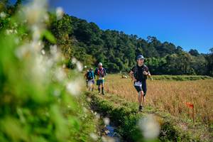 BIB: 
                            <button type="button" onclick="openModal(26572808)" class="btn btn-primary btn-sm float-right btn-popup" data-toggle="modal" data-target=".modal-high-quality">
                        <i class="fas fa-shopping-cart"></i> Add to Cart
                    </button>
                                            <button type="button" onclick="isThisMe(26572808, true)" class="btn btn-success btn-sm float-right btn-popup btn-isme hidden" data-toggle="tooltip" data-placement="bottom" title="นี่คือรูปของคุณใช่ไหม คลิกที่นี่เพื่อเอาเข้าอัลบั้ม">
                        <i class="fas fa-plus"></i> Add to album
                    </button>
                    <button type="button" onclick="isThisMe(26572808, false)" class="btn btn-warning btn-sm float-right btn-popup btn-isnotme hidden">
                        <i class="fas fa-ban"></i> Remove from album
                    </button>